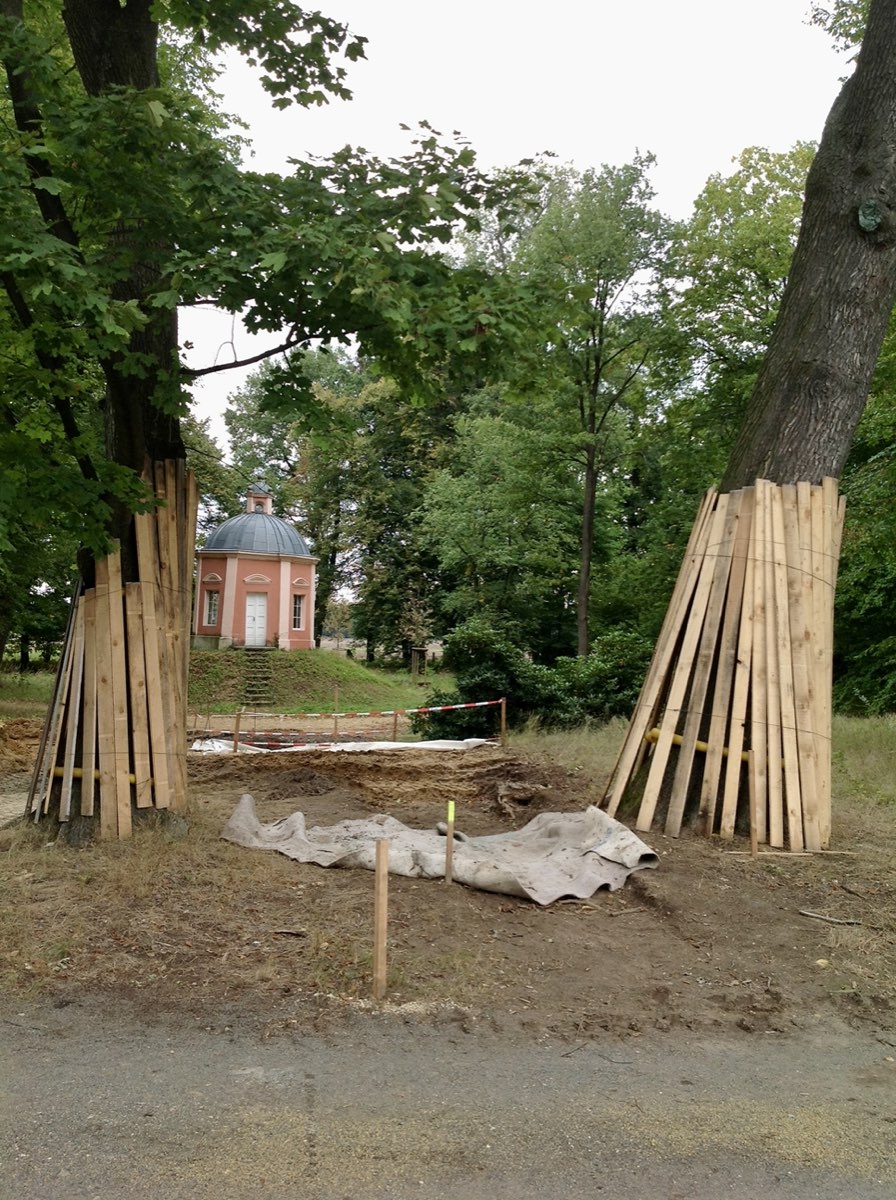 Stammschutz aus Bohlen an zwei Altb&auml;umen, dahinter ein Parkpavillon
