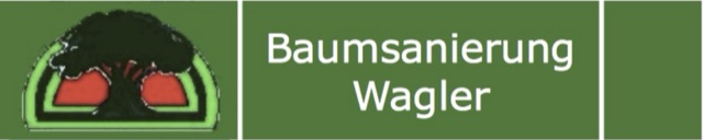 Baumsanierung Wagler